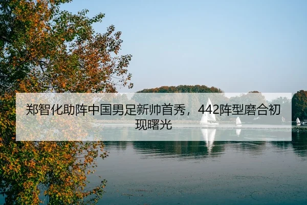zheng-zhi-hua-zhu-zhen-zhong-guo-nan-zu-xin-shuai-shou-xiu-zhen-xing-mo-he-chu-xian-shu-guang-2-824.jpg